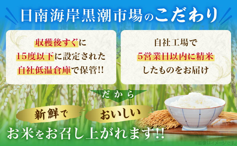 令和7年産 コシヒカリ 計5kg お米 ご飯 ライス 国産 数量限定 期間限定 人気 食品 精米 白米 こしひかり 有洗米 おにぎり お弁当 炊き込みご飯 雑炊 ギフト プレゼント 贈り物 お取り寄せ