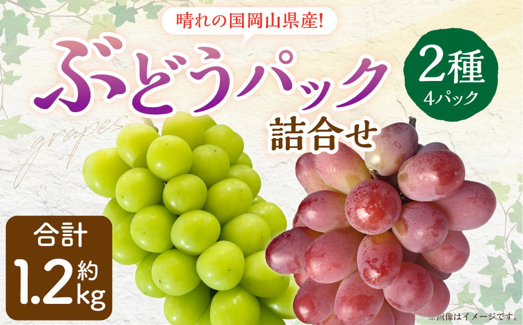 
岡山県産 ぶどう パック詰合せ ※2種4パックセット 【2024年11月上旬～11月下旬発送予定】 岡山 シャインマスカット 旬 果物 くだもの フルーツ ぶどう ブドウ 葡萄 セット
