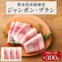 【ふるさと納税】熊本県産ハム 約100g×3個 合計約300g ジャンボンブラン ハム 豚肉 おつまみ おかず 熊本県産 九州産 国産 冷凍 送料無料