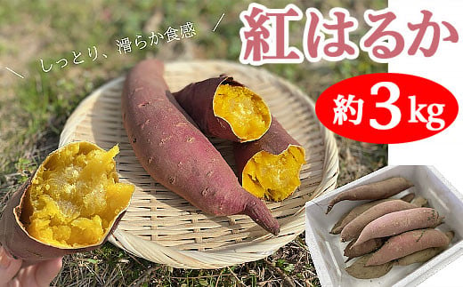 
新潟県産さつまいも（紅はるか）約3kg【丸茂農園】
