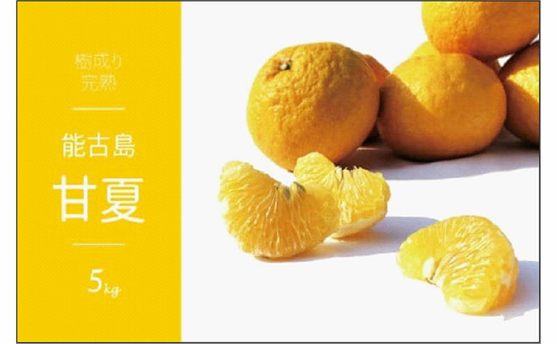 【ふるさと納税】福岡県 能古島産 甘夏 5kg　お届け：2026年4月～5月頃