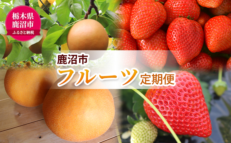 【 定期便 2回 】 大玉な梨 にっこり 2玉 約2kg と いちご市 鹿沼の 美味しい 「い」「ち」「ご」 とちあいか 15粒入り260g 2パック の フルーツ 定期便 梨 いちご イチゴ 苺 フルーツ 果物 甘い うまい 鹿沼市 かぬま　※沖縄・離島への配送不可　※2025年10月中旬～2026年1月下旬頃に順次発送予定
