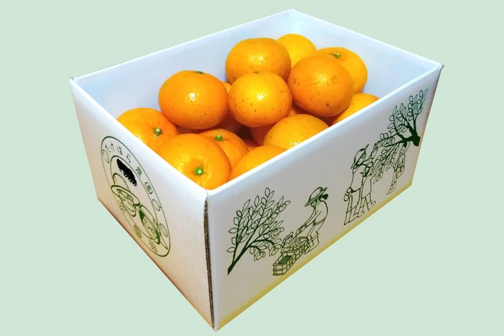 【2027年発送分 先行受付】たんかん ご家庭用バラ詰め5kg【たけはら農園】
