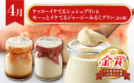 【4回定期便】いちごとスイーツコース（ジェラート・プリン・ジュレ・いちご） / スイーツ すいーつ スイーツ定期便 プリン ジュレ じゅれ ぷりん ジュース アイス あいす アイスクリーム あいすくり
