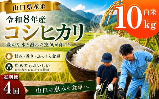 令和8年産 山口県産米 コシヒカリ 10kg 定期配送 4回 ｜ 令和8年産 コシヒカリ 山口県産米 こめ お米 コメ 白米 米 新米 ごはん 定期便 地元応援 瀬戸内 山口県 平生町 10kg