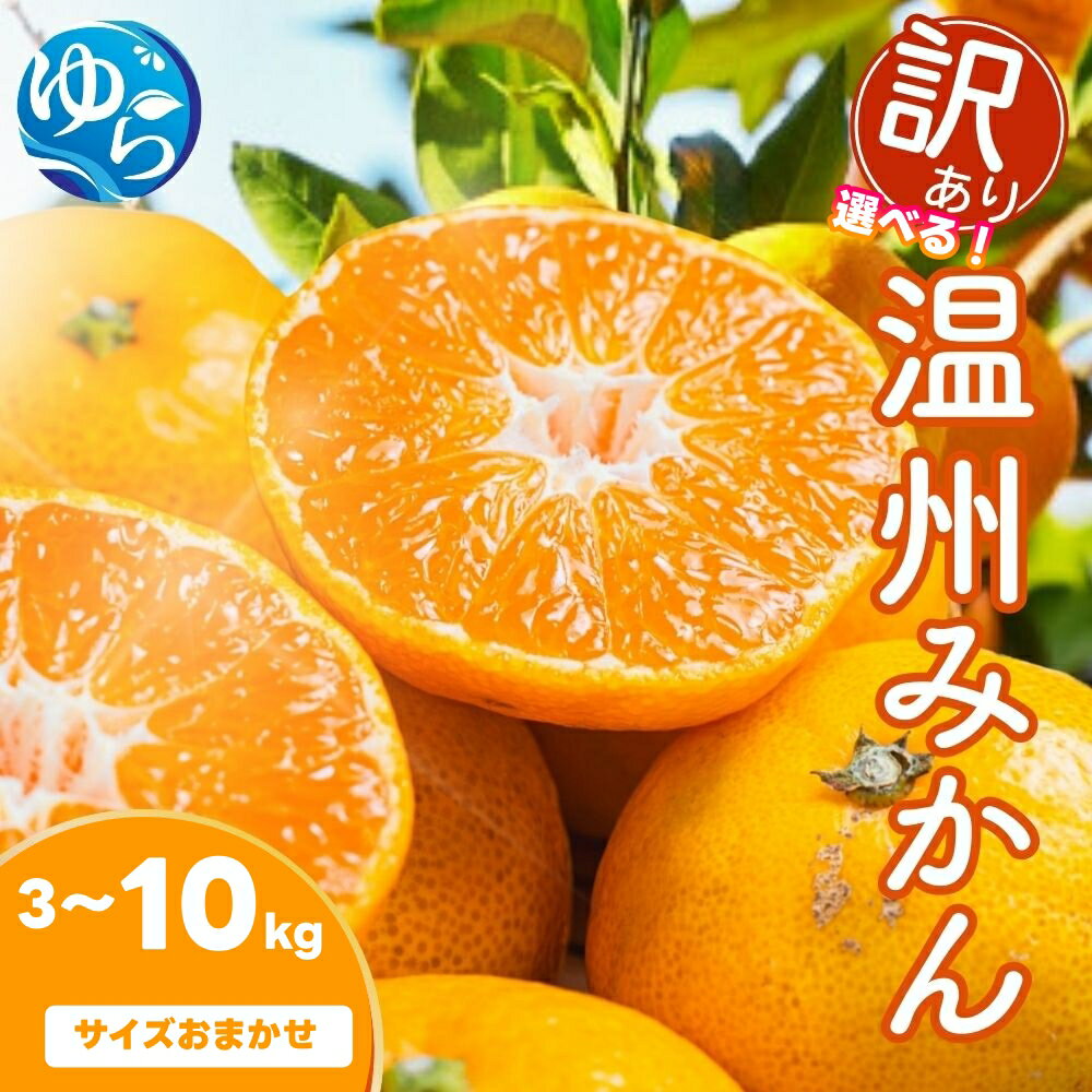 【ふるさと納税】 温州 みかん (サイズおまかせ) / 甘い 果物 柑橘 訳あり 家庭用 和歌山 ※2026年12月中旬～2027年1月下旬に順次発送予定 ※北海道・沖縄・離島配送不可