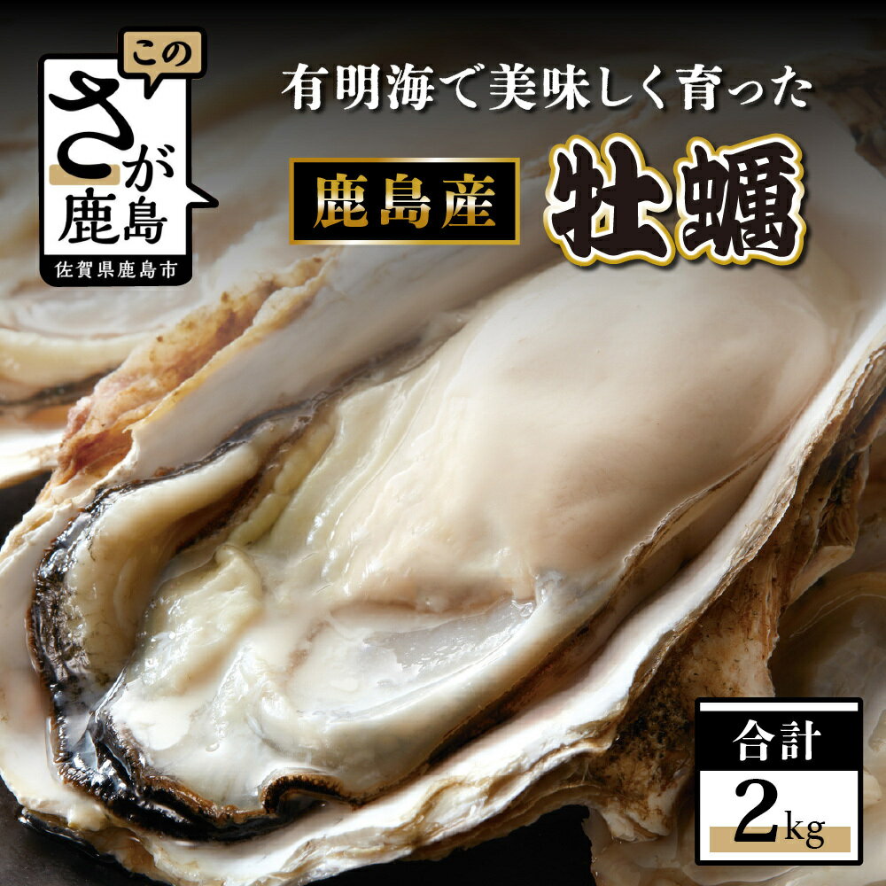 【ふるさと納税】★5.0鹿島産 牡蠣 約2kg（殻付き・加熱用）【スミノエ】新鮮 道の駅より直送！濃厚 旨味 旬の焼き牡蠣・鍋・フライに最適！高評価 グルメ 人気 佐賀県 鹿島市 B-559