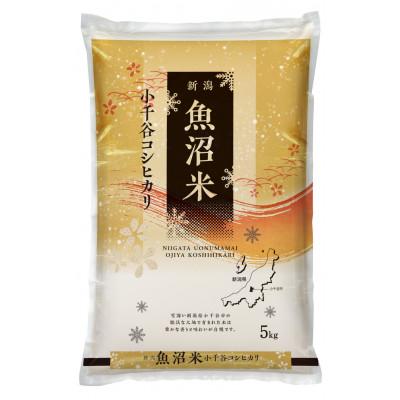 ふるさと納税 小千谷市 【毎月定期便】【頒布会】雪室貯蔵魚沼産コシヒカリ　精米　5kg全6回