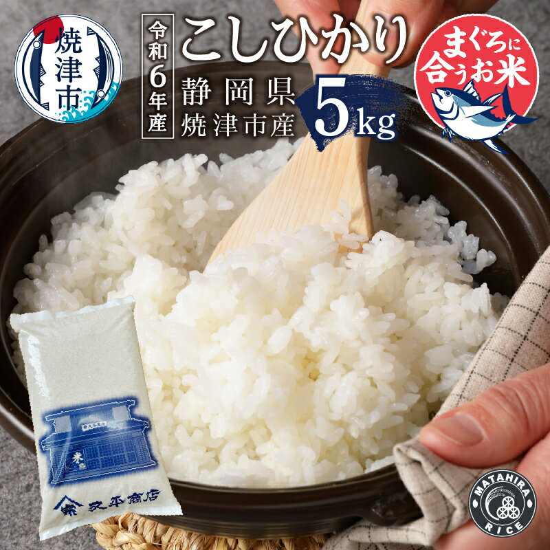 【ふるさと納税】 数量限定 米 白米 コシヒカリ 5kg 老舗米屋 マグロに合う ごはん 焼津 a19-051