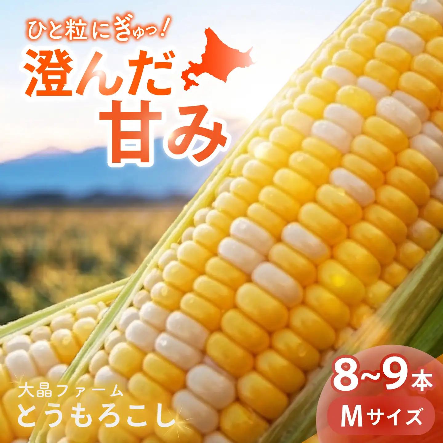 とうもろこし 8本～9本[BNAP001]
