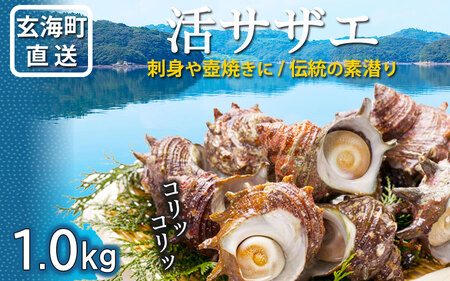 玄海町産 活サザエ 1.0kg ／ 数量限定 希少 貝 魚介 魚介類 海鮮 海産物 サザエ 刺身 壺焼き つぼ焼き バーベキュー BBQ【A186】
