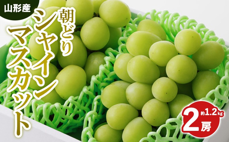 
                  朝どりシャインマスカット 秀品 2房 約1.2kg【令和8年産先行予約】 FS25-589 くだもの 果物 フルーツ 山形 山形県 山形市 2026年産
                