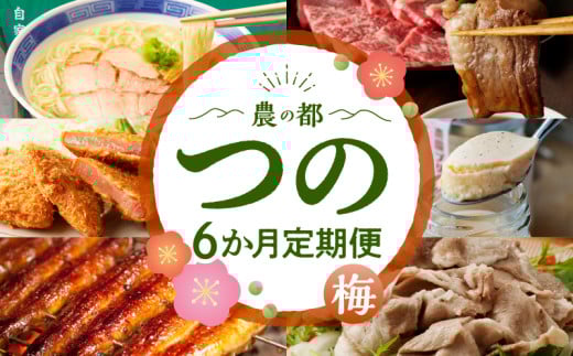 ≪6か月お楽しみ定期便≫都農町定期便(梅) 肉 加工品 デザート 国産_T999-0051