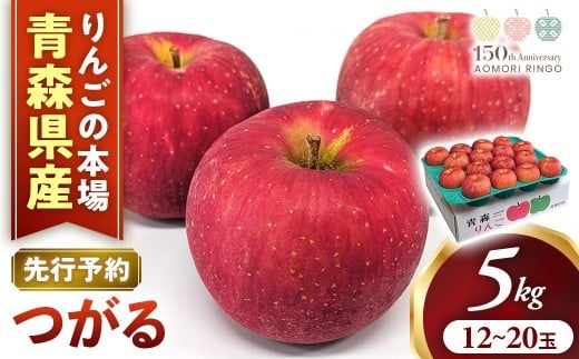 【2026年産・先行予約】りんご【つがる】約5kg（12～20玉）★2026年9月上旬～9月下旬頃まで発送予定★ りんご 林檎 リンゴ つがる 国産 フルーツ 果物 贈答 土産 青森県 三戸町 H2848