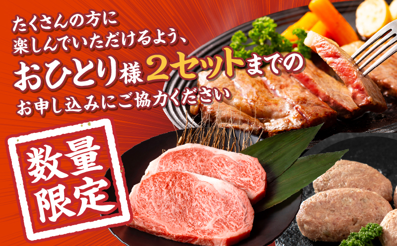 【期間・数量限定】畜産農家応援！宮崎県産黒毛和牛ロースステーキ250g×2・国産牛ハンバーグ100g×2個 牛肉 ロースステーキ ステーキ