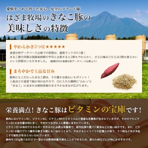 【鹿児島県産】畜産王国の「きなこ豚」小間切れ2.5㎏（500g×5袋） 切り落とし 豚小間 小間切れ 細切れ 豚肉 冷凍 スターゼン