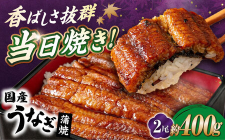 国産活うなぎ2尾（蒲焼）[AQDF007] 鰻 鰻 鰻 鰻 鰻 鰻 鰻