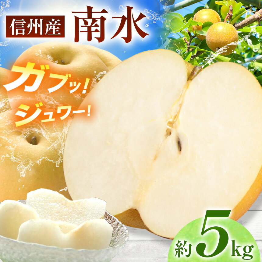 【ふるさと納税】梨 南水 【 数量限定 】ガブッ！シャキ！ジュワー！と甘すぎ 南水 梨 約5キロ | 果物 フルーツ 梨 ナシ 南水 なんすい 晚生品種 長野県 伊那市 【013-15】2026年 秋 発送 約5kg