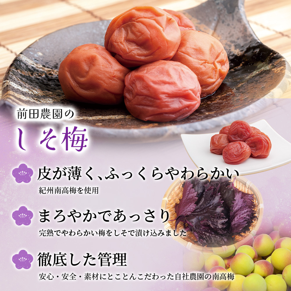 大粒 たっぷり浸かったしそ漬け梅 1kg×1パック 塩分10％ / お歳暮 紀州南高梅 訳ありでない 梅干 うめぼし 南高梅 しそ梅 シソ 紫蘇 国産 梅 うめ ウメ ご飯 和歌山県 田辺市 前田農園