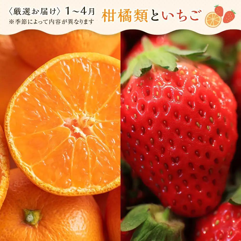 【12ヶ月連続定期便】 創業130余年！老舗果物店の厳選フルーツ詰合せ♪満足セット（3～5品種） | フルーツ