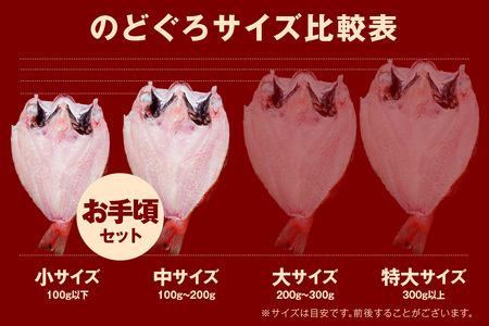  のどぐろ専門店シーライフ のどぐろ一夜干し5枚で計600g「お手ごろセット」 魚 干物 干もの 一夜干し 手頃 小分け 産地直送 のどぐろ 人気 贈り物 贈答 ギフト プレゼント 【1569】