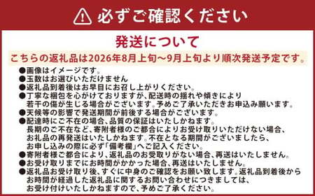 吉野梨 豊水 約5kg 【2026年8月上旬発送開始】 なし ナシ 梨 豊水梨 果物 くだもの フルーツ 熊本県産 