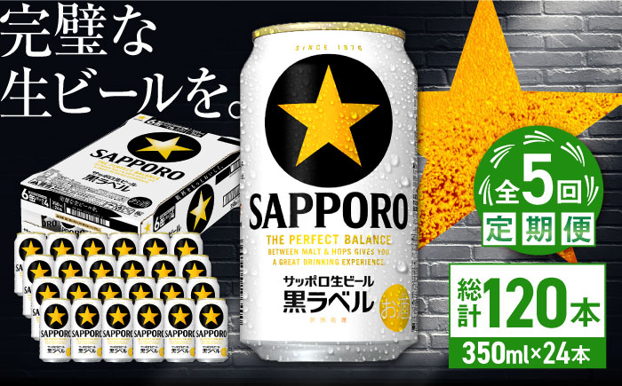 【全5回定期便】サッポロ生ビール 黒ラベル 350ml×24缶　合計120缶 日田市 / 株式会社綾部商店 [ARDC070]