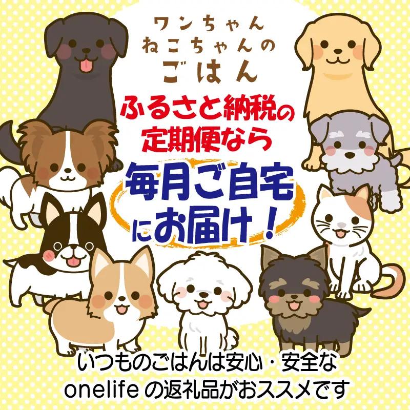 【定期便】国産無添加 キャットフード 500g×全6回「いのちのごはん」タンパク質 66％以上配合タイプ【毎月配送コース】