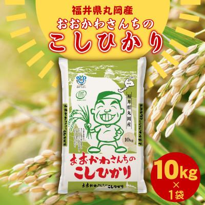 ふるさと納税 坂井市 おおかわさんちのコシヒカリ 10kg [B-10802]