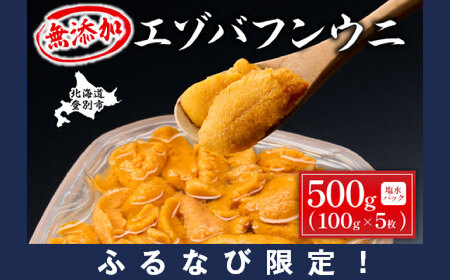 【ふるなび限定】無添加　極上エゾバフンウニ塩水パック 500g（100g×5パック）【mh-0473】FN-Limited-PR