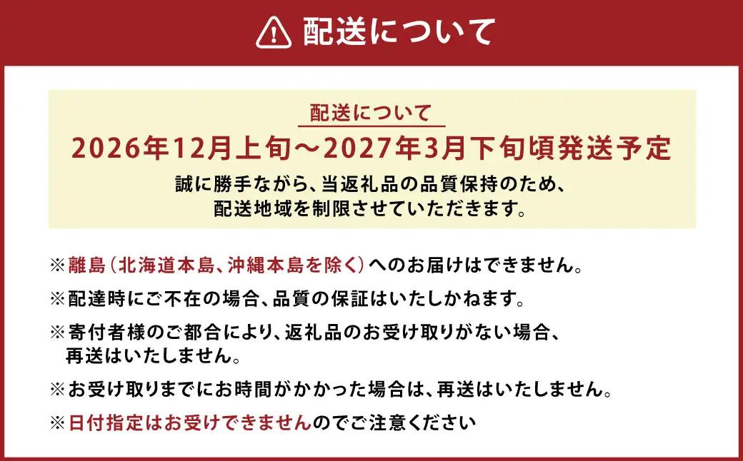 A160 【ギフト】 あまおう 12～15粒 いちご 【2026年12月上旬～2027年3月下旬発送予定】