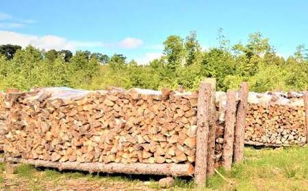 沼田町産 広葉樹ミックス薪 長さ約30cm 20kg キャンプ アウトドア用品 n-0091