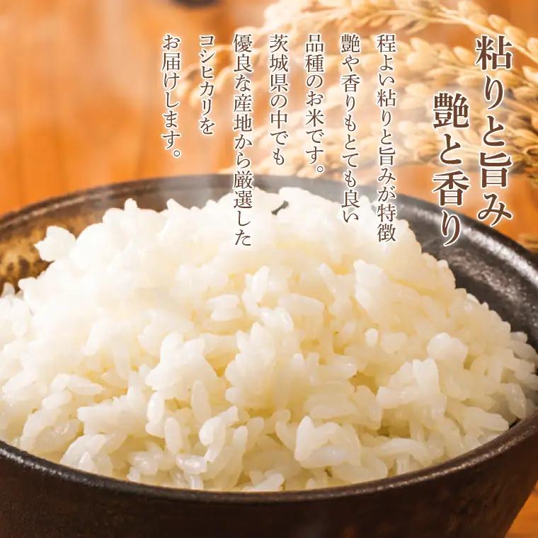 【12ヶ月定期便】コシヒカリ 10kg (5kg × 2袋) 総計 120kg（KY-5）
