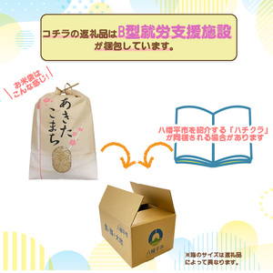 【令和7年産】 新米 11月上旬発送開始予定 あきたこまち 玄米 10kg×3ヶ月定期便 ／ かきのうえ こめ 米 コメ お米 おこめ ご飯 ごはん げんまい おにぎり お弁当 仕送り お取り寄せ 産