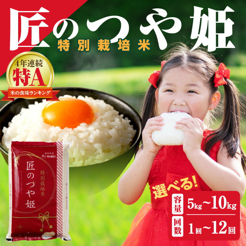 【ふるさと納税】【令和6年産】【定期便】特別栽培米「匠のつや姫」 【5kg 6kg 10kg/1回〜12回】 選べる 定期便 米 島根 県産 精米 玄米 お米 精米 白米 ごはん ご飯 コメ 新生活 応援 準備 特A ブランド 米