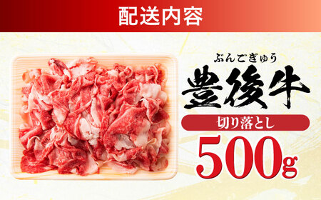 【使いやすい！】 おおいた豊後牛 牛肉 切り落とし 500g 日田市 / 株式会社MEAT PLUS　肉 牛肉 和牛[AREI002]