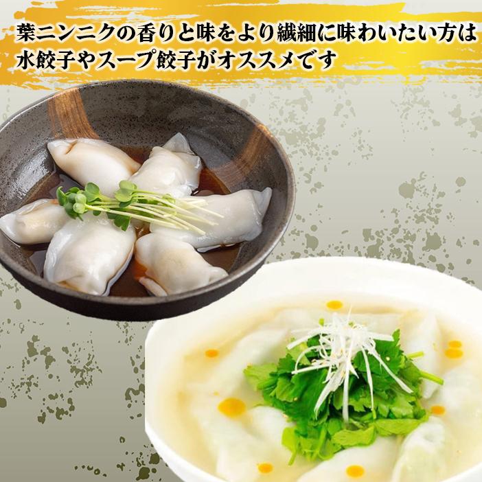 有機葉ニンニクと四万十豚で作った最高級餃子（6個x8パック）完全無添加