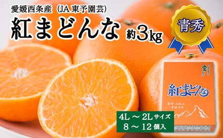 【先行予約】紅まどんな（JA東予園芸）青秀_8～12個入_4L～2Lサイズ（約3kg）　2025年11月下旬～12月下旬発送｜ 紅まどんな 愛媛産紅まどんな 高級かんきつ紅まどんな 人気紅まどんな 紅マドンナ 紅まどんな