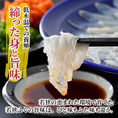 ふるさと納税 小浜市 【1月上旬以降順次発送】若狭ふぐ刺しセット(2人前) |  | 01