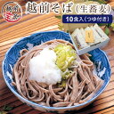 【ふるさと納税】越前そば 生蕎麦 10食つゆ付き / たからや商店 越前宝や そば 越前蕎麦 蕎麦 生そば ソバ 越前そば 贈り物 おろしそば 福井 越前 熨斗 冷蔵 送料無料 [A-088015]