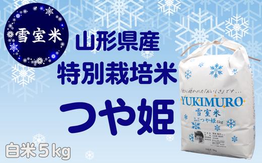
            季節限定〜雪室米〜特別栽培米つや姫【5kg】
          