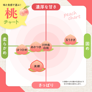 ＜先行予約＞福島県産 甘くてジューシー 桃 美郷 2kg （7玉～10玉） もも フルーツ 果物 F6Q-350