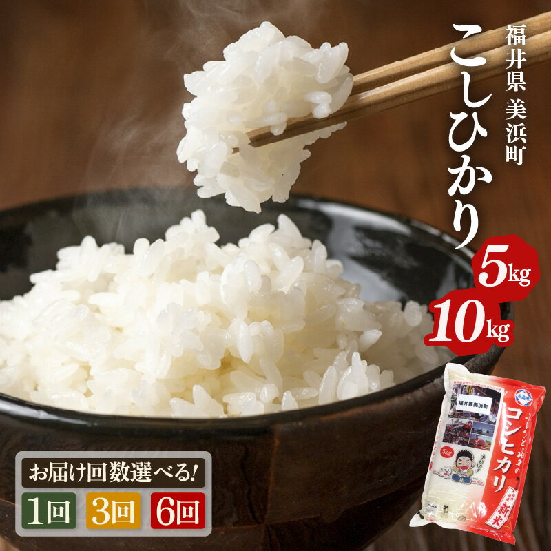 米 令和5年産 コシヒカリ 5kg × 1袋 精米 福井県美浜町産 【単発便（月選択可）または定期便】 [m60-a001]