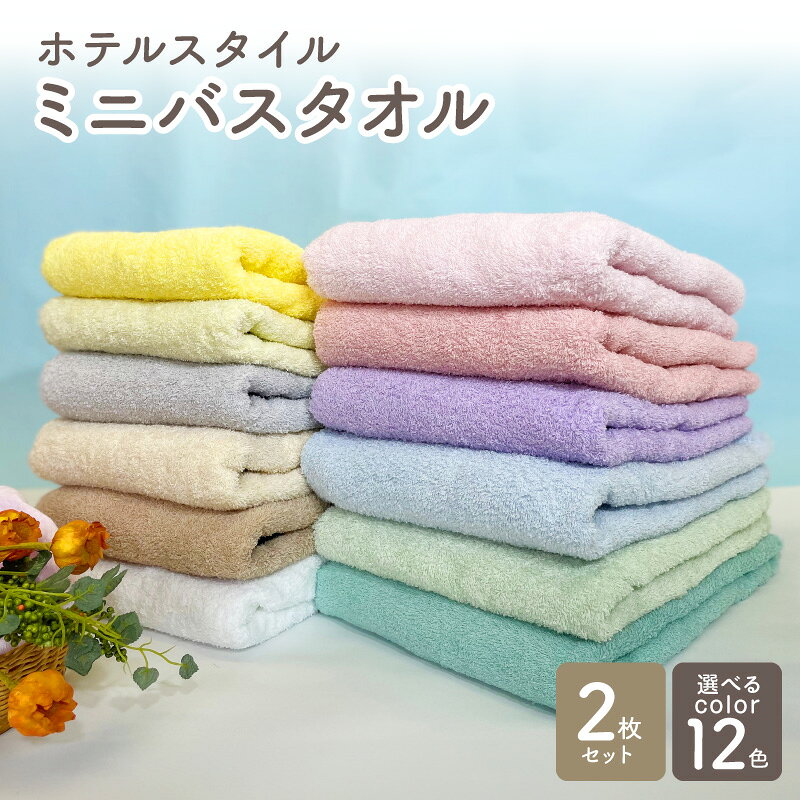 【ふるさと納税】ミニバスタオル ビッグフェイスタオル 選べるカラー 2枚 ホテルスタイルタオル 楽天限定 フェイスタオル タオル 泉州タオル 日本製 国産 カラー 12色 無地 スポーツタオル 吸水力 綿100％ ヘアドライ コンパクト 柔らかい 大阪府 泉佐野市 送料無料