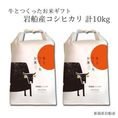 ふるさと納税 村上市 新米【令和7年産米】牛とつくったお米　 新潟県岩船産コシヒカリ　精米10kg　1041005