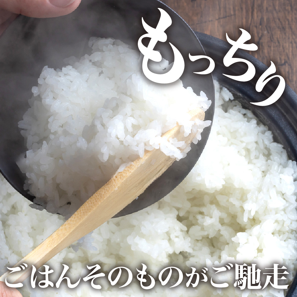 【令和8年産米】2027年3月下旬発送 特別栽培米 つや姫 10kg 山形県産【米COMEかほく協同組合】