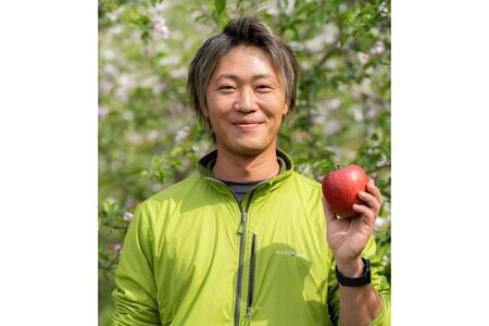 【2026年12月中旬発送】【訳あり】 りんご 約5kg サンふじ 青森県産 葉とらずりんご