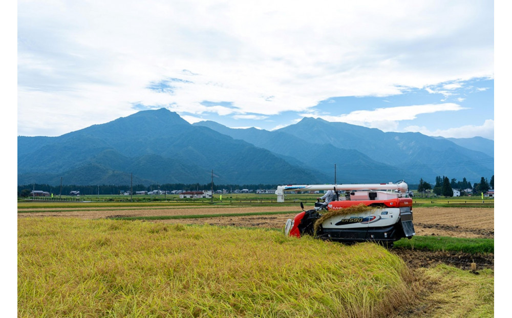 【令和7年産新米予約】南魚沼産　塩沢コシヒカリ「だすけ米」精米5kg【2025年9月中旬より順次発送予定】