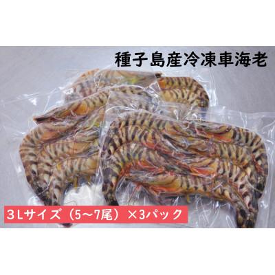 ふるさと納税 西之表市 種子島産　加熱用冷凍車海老3Lサイズ(5〜7尾) 750g