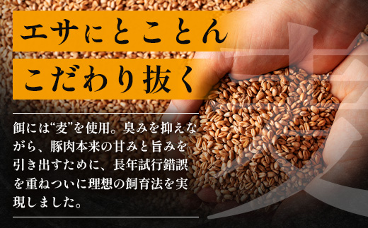 【定期便全3回】ひかり麦豚 プレミアム定期便 ≪月替わりでしゃぶしゃぶ・焼肉・ハンバーグをお届け！≫ 冷凍 HM-11 | 精肉 お惣菜 肉 お肉 にく 豚肉 焼き肉 バーベキュー ロース肉 肩ロース